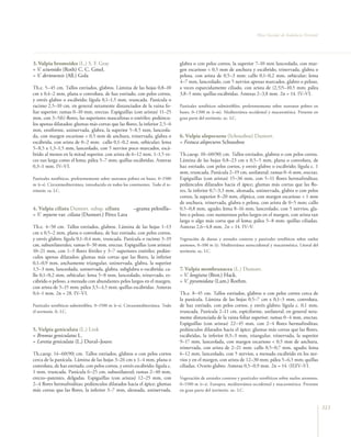 Flora vascular tomo_1