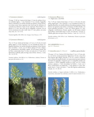 Flora vascular tomo_1