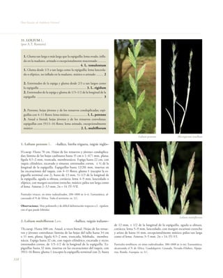 Flora vascular tomo_1