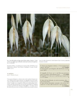 Flora vascular tomo_1