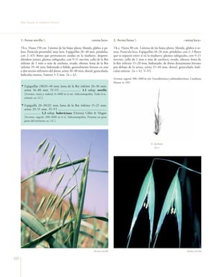 Flora vascular tomo_1