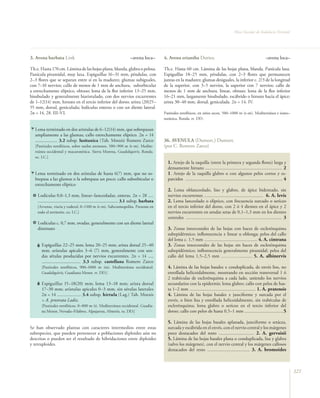 Flora vascular tomo_1