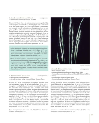 Flora vascular tomo_1