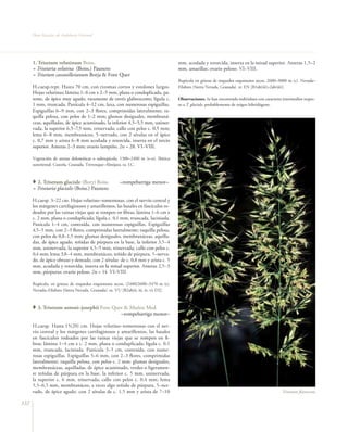 Flora vascular tomo_1