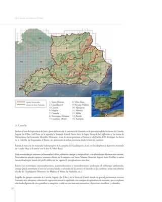 Flora Vascular de Andalucía Oriental




                  Límites Provinciales         1. Sierra Morena          8. Vélez–Baza
                  Límites de Áreas Naturales   2. Guadalquivir           9. Nevada–Filabres
                                               3. Cazorla                10. Alpujarras
                                               4. Mágina                 11. Almería
                                               5. Granada                12. Aljibe
                                               6. Trevenque–Almijara     13. Ronda
                                               7. Guadiana Menor         14. Axarquía

     3. Cazorla

     Incluye el este de la provincia de Jaén y parte del norte de la provincia de Granada; en la primera engloba las sierras de Cazorla,
     Segura, las Villas y del Pozo; en la segunda la Sierra de Castril, Sierra Seca, la Sagra, Sierra de la Guillimona y las sierras de
     Marmolance, la Encantada, Montilla, Moncayo y resto de sierras próximas a Huéscar y a la Puebla de D. Fadrique. La Sierra
     de la Cabrilla, las Empanadas, el Buitre, etc. pertenecen a ambas provincias desde la línea de cumbres.

     Limita al oeste con los materiales sedimentarios de la campiña del Guadalquivir, al sur con los altiplanos y depresión semiárida
     de Guadix–Baza y al sureste con el área 8 (Vélez–Baza).

     Está constituida por sustratos carbonatados (calizas, dolomías, margas y margocalizas), con abundantes afloramientos rocosos.
     Puntualmente pueden aparecer sustratos silíceos en el contacto con Sierra Morena (Sierra de Segura, facies Utrillas) o suelos
     descalcificados por lavado del perfil edáfico en los lugares de precipitaciones más altas.

     Existen tres termotipos, mesomediterráneo, supramediterráneo y oromediterráneo; predomina el ombrotipo subhúmedo,
     aunque puede presentarse el seco en las zonas basales y orientales de las sierras y el húmedo en las cumbres y zonas más abiertas
     al valle del Guadalquivir (Pontones, río Madera, el Yelmo, las Acebedas, etc.).

     Engloba los parques naturales de Cazorla, Segura y las Villas y de la Sierra de Castril, donde en general predominan terrenos
     forestales muy abruptos, cubiertos de vegetación natural o repoblada, con vestigios de agricultura de montaña, que se explotan
     aún desde el punto de vista ganadero y cinegético y cada vez con más usos recreativos, deportivos, científicos y culturales.

30
 