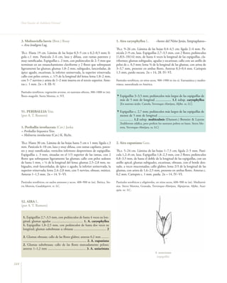 Flora vascular tomo_1