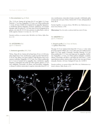 Flora vascular tomo_1