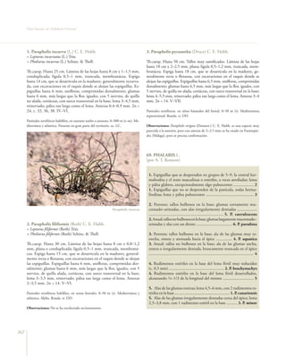 Flora vascular tomo_1