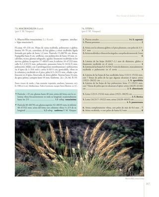 Flora vascular tomo_1