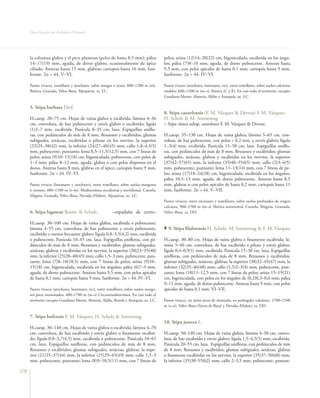 Flora vascular tomo_1