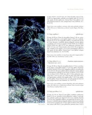 Flora vascular tomo_1