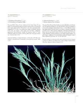 Flora vascular tomo_1