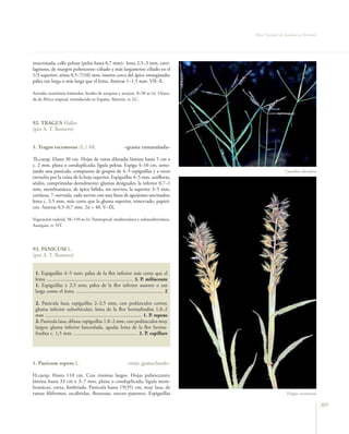 Flora vascular tomo_1