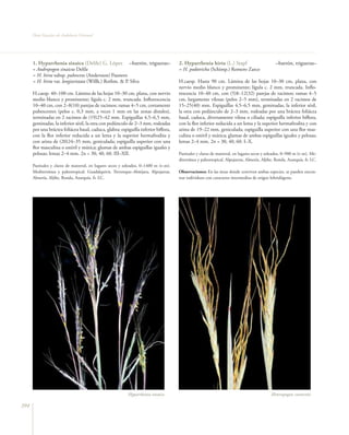 Flora vascular tomo_1