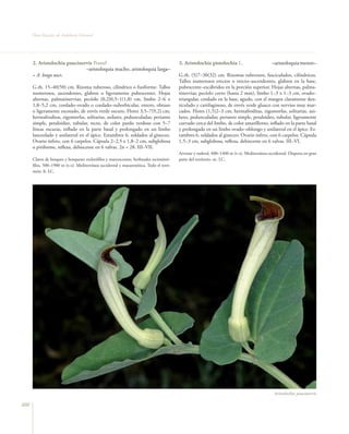 Flora vascular tomo_1