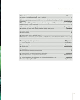 Flora Vascular de Andalucía Oriental




12. Pínnulas flabeladas y netamente pecioluladas ................................................................................. Adiantaceae
12. Pínnulas de obovadas a lanceoladas, sésiles o subsésiles .................................................................................... 13

13. Frondes esparcidas; pseudoindusio ciliado; soros con doble cubierta formada por el borde de la fronde y un in-
dusio interno ................................................................................................................................... Hypolepidaceae
13. Frondes fasciculadas; pseudoindusio entero o discontinuo, pero no ciliado; soros con una cubierta sencilla for-
mada por el margen revoluto de la fronde ............................................................................................................... 14

14. Frondes de hasta 40 cm de longitud ......................................................................................... Sinopteridaceae
14. Frondes de más de 40 cm de longitud, pudiendo alcanzar hasta 150 cm .......................................... Pteridaceae

15. Soros sin indusio ............................................................................................................................................. 16
15. Soros con indusio ............................................................................................................................................. 19

16. Soros circulares; envés de las frondes glabro ...................................................................................................... 17
16. Soros lineares, a veces ocultos por estar el envés de las frondes más o menos densamente cubierto de páleas o pelos
............................................................................................................................................................................... 18

17. Frondes pinnatipartidas o pinnatisectas ........................................................................................ Polypodiaceae
17. Frondes bipinnadas .................................................................................................................... Athyriaceae p.p.

18. Esporas monoletas ................................................................................................................ Aspleniaceae p.p.
18. Esporas triletas ....................................................................................................................... Hemionitidaceae

19. Indusio linear ................................................................................................................................................... 20
19. Indusio orbicular, reniforme u oval–lanceolado .................................................................................................. 21

20. Frondes dimorfas, sólo las internas producen esporangios ................................................................. Blechnaceae
20. Frondes homomorfas, todas productoras de esporangios ........................................................... Aspleniaceae p.p.

21. Pecíolo con páleas en toda su longitud, más densamente dispuestas en la base ................................ Aspidiaceae
21. Pecíolo con algunas páleas en la base ............................................................................................. Athyriaceae p.p.




                                                                                                                                                                                     43
 