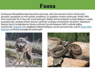 Heyvan Flora və fauna | PPTX