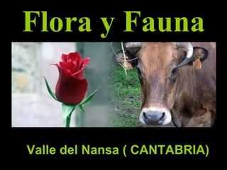 Flora y Fauna V Valle del Nansa ( CANTABRIA) 
