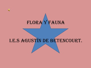 Flora y faunaI.E.S AGUSTÍN DE BETENCOURT. 