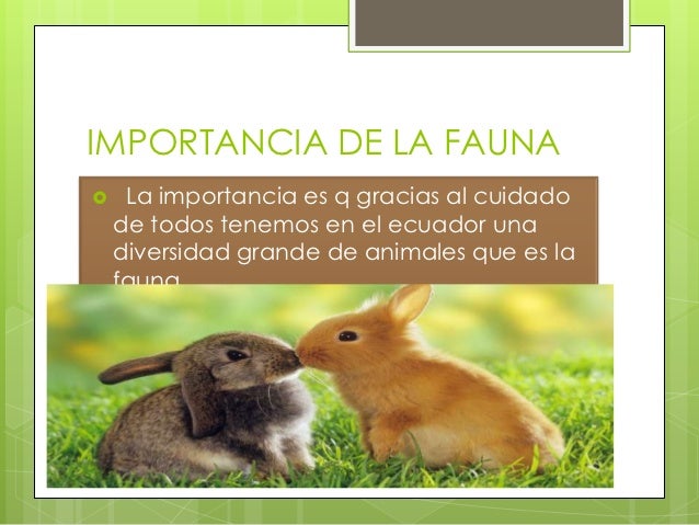 Flora y fauna