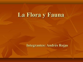 La Flora y Fauna

Integrantes: Andrés Rojas

 