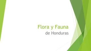 Flora y Fauna
de Honduras
 