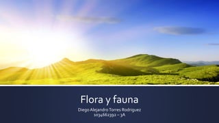 Flora y fauna
DiegoAlejandroTorres Rodriguez
1034662392 – 3A
 