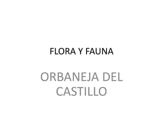 FLORA Y FAUNA
ORBANEJA DEL
CASTILLO
 