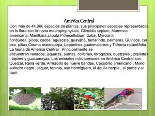 Flora y fauna de america | PPTX