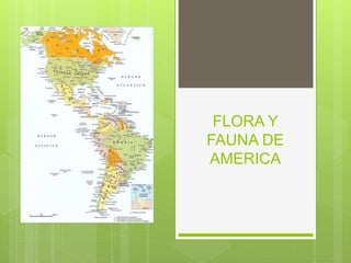FLORA Y
FAUNA DE
AMERICA
 