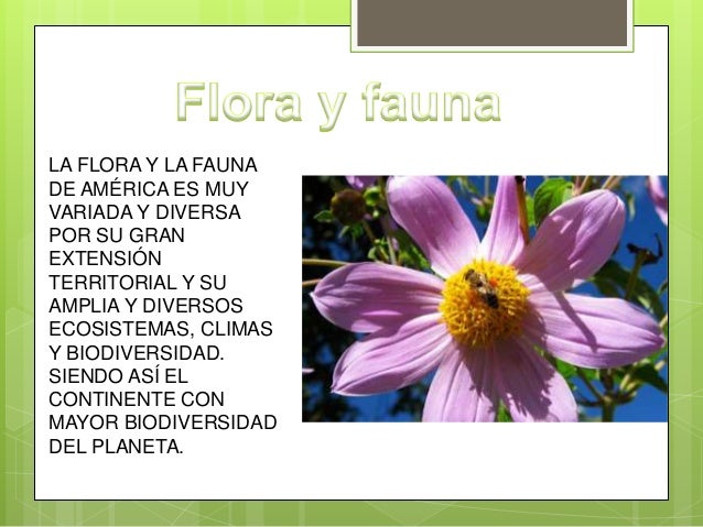Flora y fauna de america