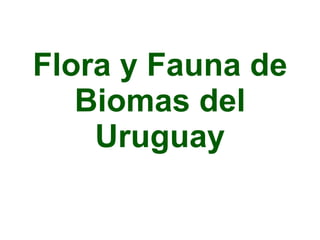 Flora y Fauna de Biomas del Uruguay 