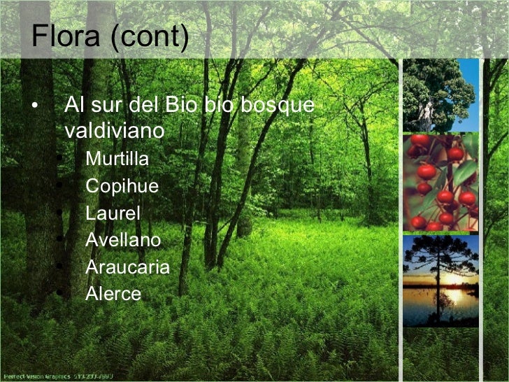 Fauna - Bio Fauna - Bio