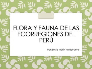 FLORA Y FAUNA DE LAS
ECORREGIONES DEL
PERÚ
Por: Leslie Marín Valderrama
 