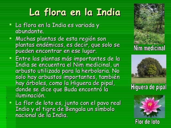 Flora And Fauna In India