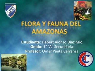 Estudiante: Hebert Alonzo Díaz Mio
     Grado: 1° “A” Secundaria
  Profesor: Omar Panta Carranza
 