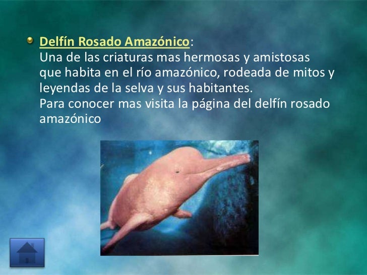 Flora y fauna del amazonas