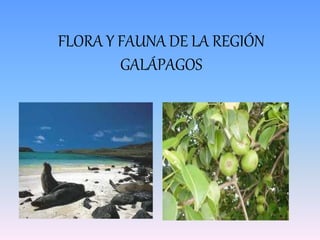 FLORA Y FAUNA DE LA REGIÓN
GALÁPAGOS
 