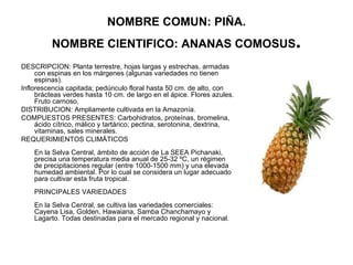 Flora y fauna de la selva del perú actividad3 | PPT