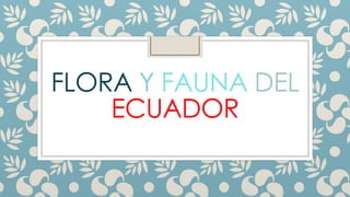 FLORA Y FAUNA DEL
ECUADOR

 