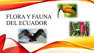 FLORA Y FAUNA
DEL ECUADOR
 