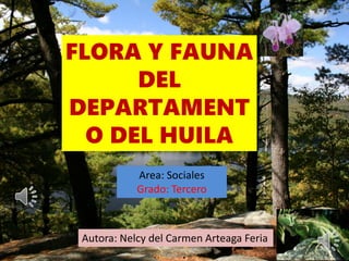 FLORA Y FAUNA
DEL
DEPARTAMENT
O DEL HUILA
Autora: Nelcy del Carmen Arteaga Feria
Area: Sociales
Grado: Tercero
 
