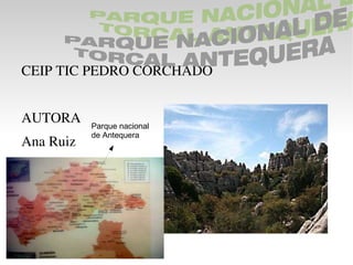 [object Object],AUTORA Ana Ruiz Parque nacional  de Antequera PARQUE NACIONAL DE  TORCAL ANTEQUERA  