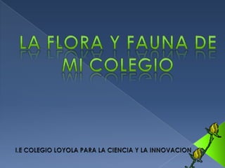 LA FLORA Y FAUNA DE MI COLEGIO I.E COLEGIO LOYOLA PARA LA CIENCIA Y LA INNOVACION 