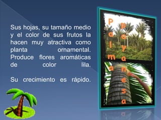 CIBER-GRAFIA:Wikipedia.com  :TextoImagesshark.com  : ImágenesGoogle.com : Imágenes y textoDel Jueves 22 de Julio al Viernes 30 de Julio.