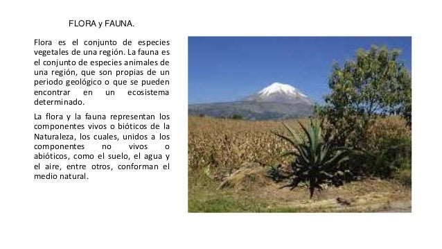 Flora y fauna de puebla