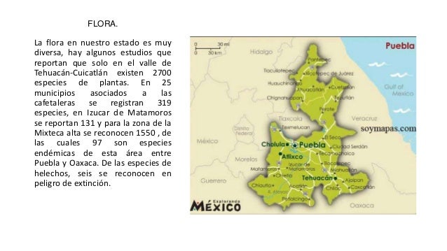 Flora y fauna de puebla