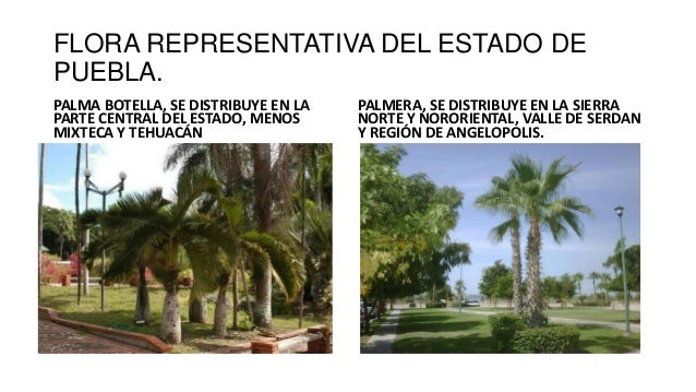 Flora y fauna de puebla