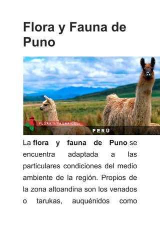 Flora y Fauna de
Puno
La flora y fauna de Puno se
encuentra adaptada a las
particulares condiciones del medio
ambiente de la región. Propios de
la zona altoandina son los venados
o tarukas, auquénidos como
 