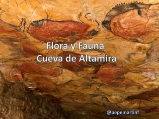Flora y Fauna en Altamira
 